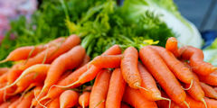 提高免疫力还是吃胡萝卜划算
