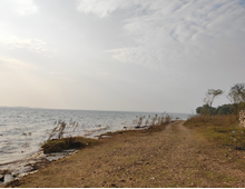 新城区森林半岛东